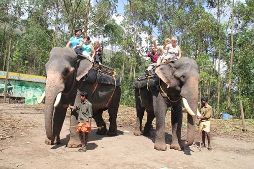 elephant ride in munnar 