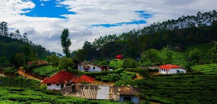 cottages in munnar