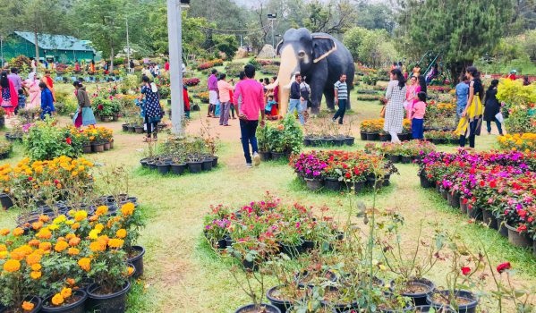 Blossom park in Munnar